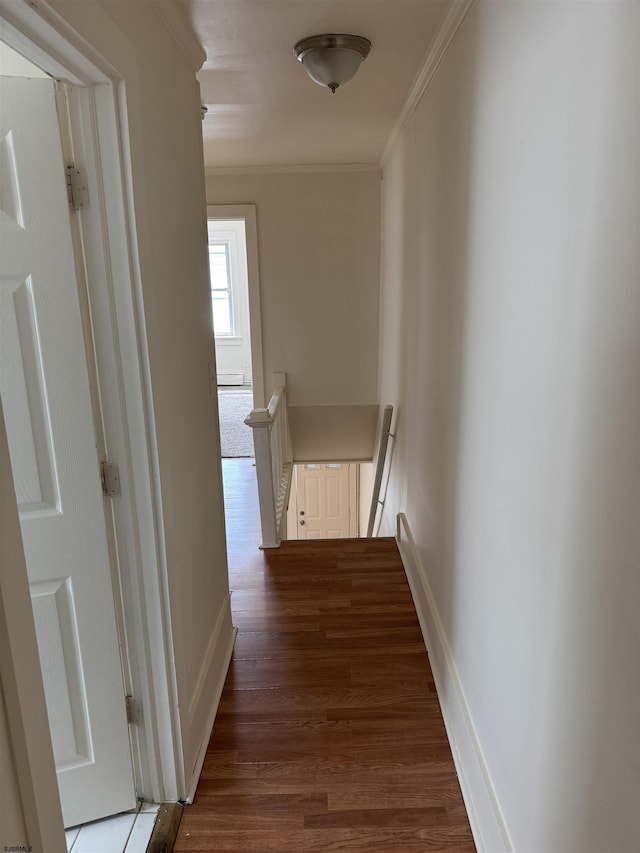 2015 Grant Ave, Atlantic City, NJ 08401 - hall with an upstairs landing, wood finished floors, ornamental molding, and baseboards