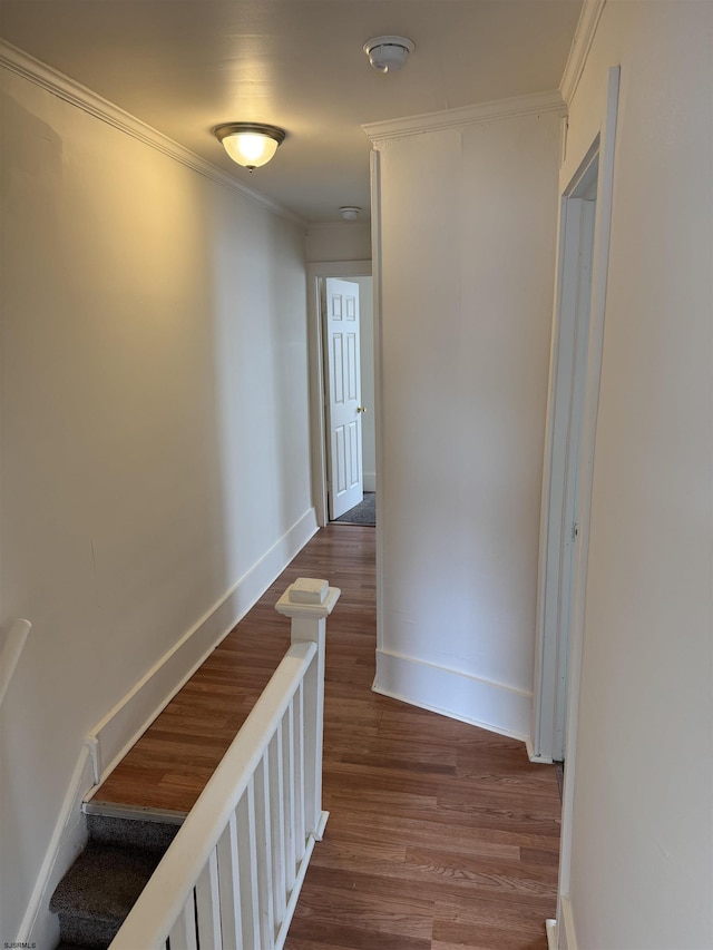 2015 Grant Ave, Atlantic City, NJ 08401 - hallway featuring wood finished floors, ornamental molding, and baseboards