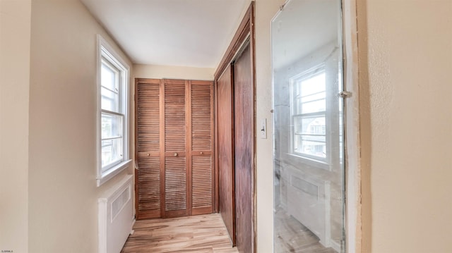 25 N Aberdeen Pl, Atlantic City, NJ 08401 - corridor with light wood-style floors and radiator