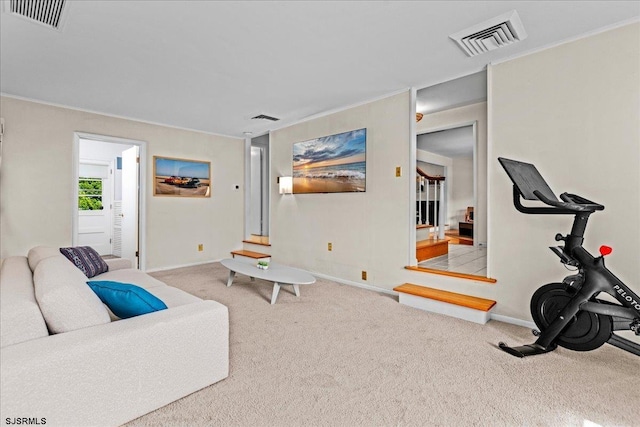 411 N Douglas Ave, Margate, NJ 08402 - living area featuring carpet, baseboards, and crown molding