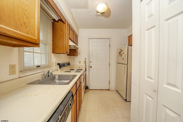 19 Clipper Ct, Atlantic City, NJ 08401 - kitchen featuring white appliances, under cabinet range hood, brown cabinetry, and light flooring