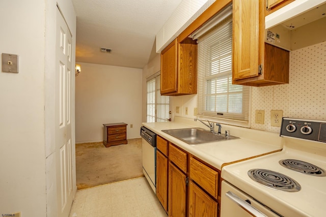 19 Clipper Ct, Atlantic City, NJ 08401 - kitchen with white electric range, a sink, under cabinet range hood, brown cabinetry, and light countertops