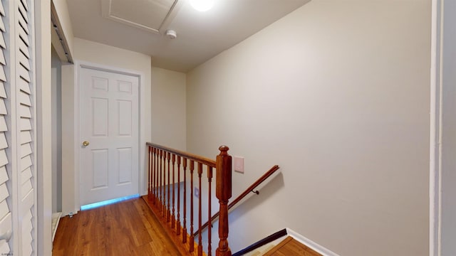 11 Cherokee Dr Unit 206, Galloway Township, NJ 08205 - stairs with wood finished floors, baseboards, and attic access