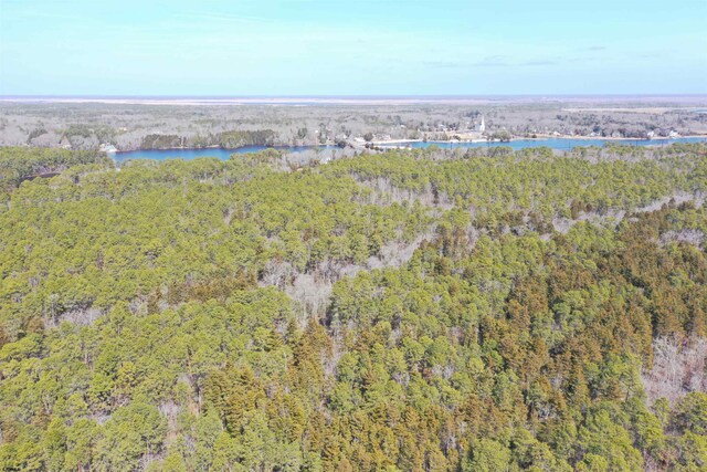 16 Holly Creek Rd, Port Republic, NJ 08241 - aerial view of property and surrounding area with a heavily wooded area and a large body of water
