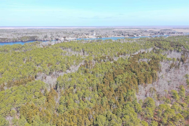 16 Holly Creek Rd, Port Republic, NJ 08241 - aerial view of property and surrounding area with a heavily wooded area and a large body of water