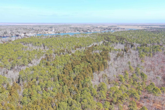 16 Holly Creek Rd, Port Republic, NJ 08241 - view of property location with a heavily wooded area and a large body of water