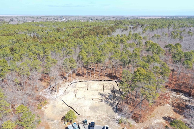 16 Holly Creek Rd, Port Republic, NJ 08241 - bird's eye view of a heavily wooded area