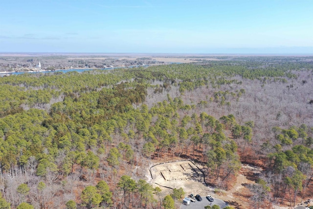 16 Holly Creek Rd, Port Republic, NJ 08241 - aerial overview of property's location with a heavily wooded area and a large body of water