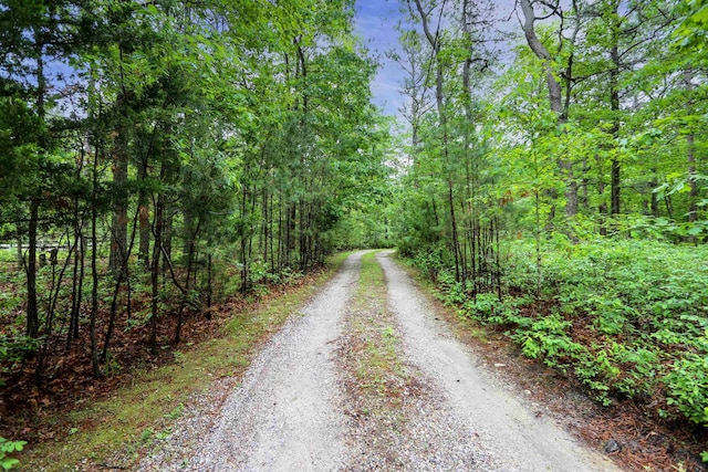 2511 Long Ave, Mays Landing, NJ 08330 - view of street with a view of trees