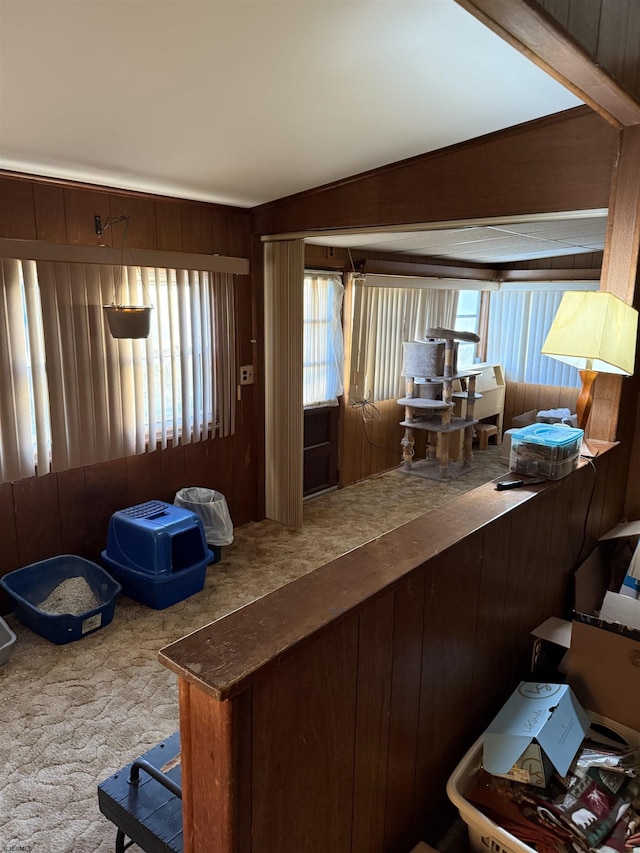 6301 Roberts Ave, Mays Landing, NJ 08330 - carpeted living area with plenty of natural light and wooden walls