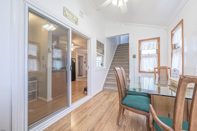510 Lafayette Blvd, Brigantine, NJ 08203 - sunroom / solarium with lofted ceiling