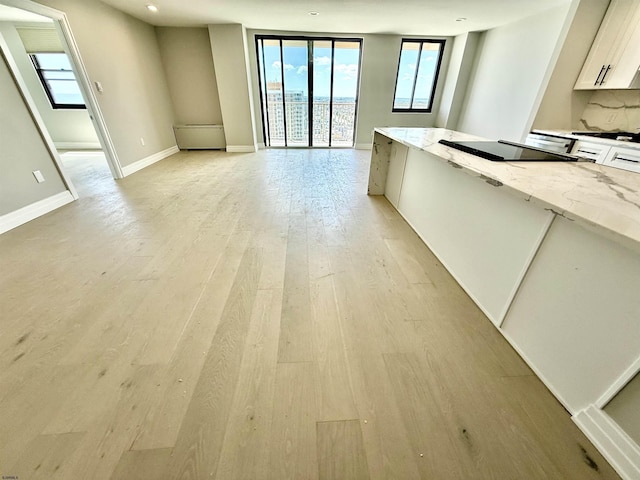 5000 Boardwalk Unit 1616, Ventnor, NJ 08406 - unfurnished living room featuring light wood-style flooring and baseboards