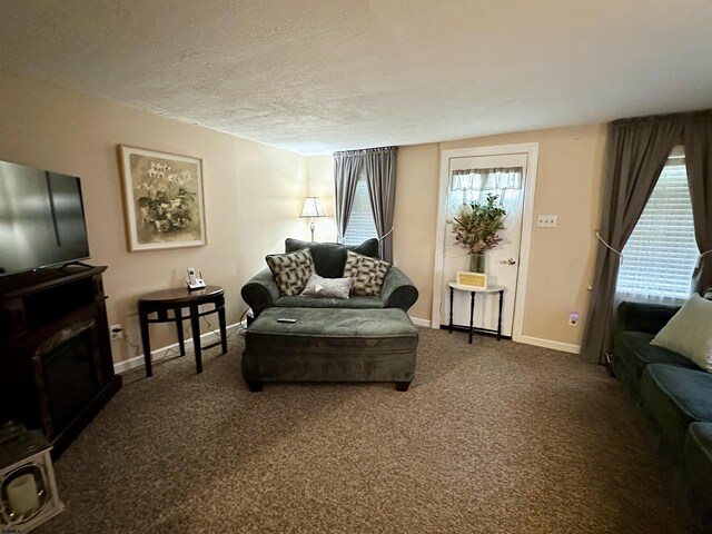 311 N 7th St, Millville, NJ 08332 - living area with baseboards, a textured ceiling, plenty of natural light, and dark carpet