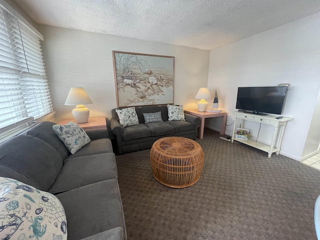 853-71 Plymouth Pl Unit 13, Ocean City, NJ 08226 - carpeted living room featuring a textured ceiling
