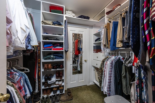 3065 N Rte 9, Ocean View, NJ 08230 - walk in closet with carpet flooring