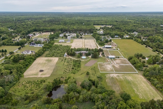 3065 N Rte 9, Ocean View, NJ 08230 - aerial overview of property's location with rural landscape and a forest