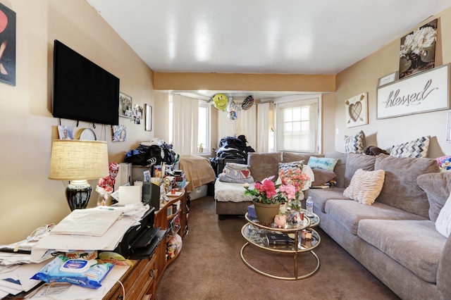 1426 Mediterranean Ave Unit C, Atlantic City, NJ 08401 - view of carpeted living area