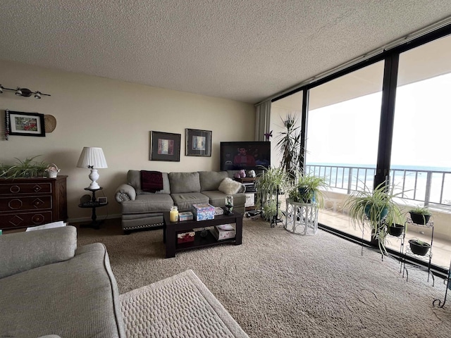 3851 Boardwalk Unit 1908, Atlantic City, NJ 08401 - carpeted living room with a wall of windows and a textured ceiling