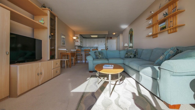 9400 Atlantic Ave Unit 305, Margate, NJ 08402 - living area with carpet floors