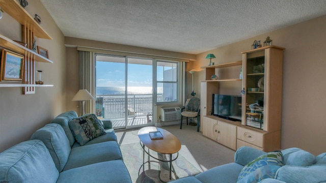 9400 Atlantic Ave Unit 305, Margate, NJ 08402 - living room with light carpet and a textured ceiling