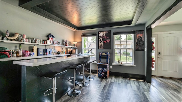 206 Branch Hill Dr, Egg Harbor Township, NJ 08234 - indoor bar with a tray ceiling and dark wood-style floors