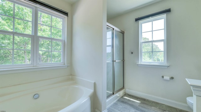 206 Branch Hill Dr, Egg Harbor Township, NJ 08234 - full bath featuring a garden tub, healthy amount of natural light, wood finished floors, and a shower with shower door