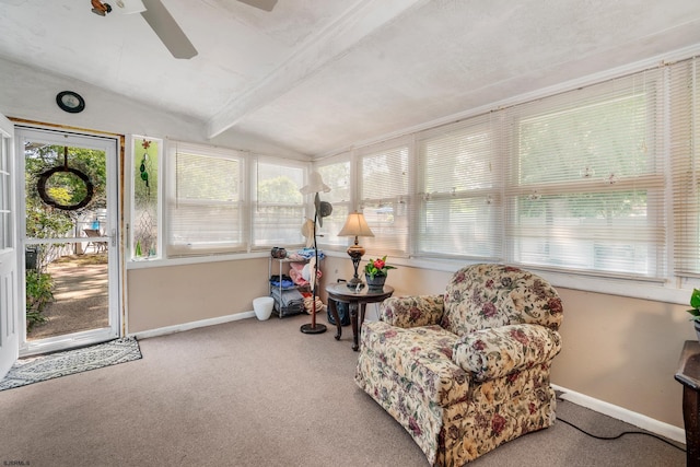 801 New York Ave, Absecon, NJ 08201 - sunroom with carpet flooring and baseboards