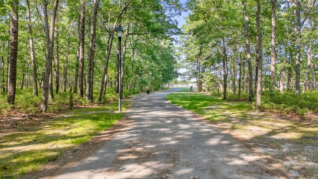 801 New York Ave, Absecon, NJ 08201 - view of street featuring street lighting