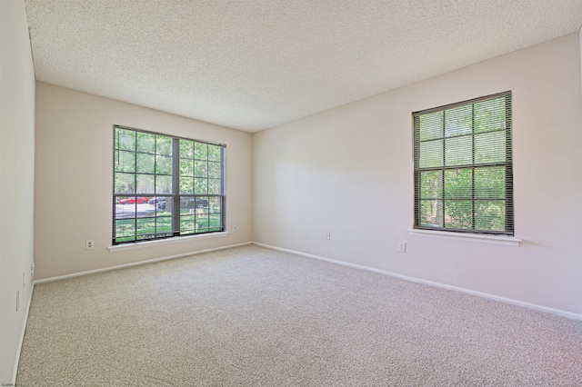 161 Sussex Pl Unit 161, Galloway Township, NJ 08205 - empty room with carpet flooring, healthy amount of natural light, a textured ceiling, and baseboards