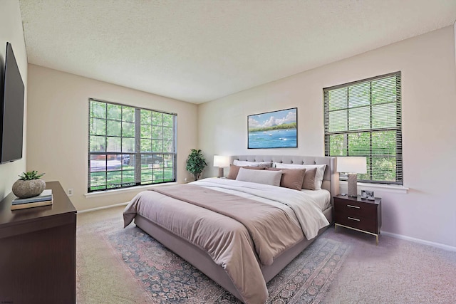 161 Sussex Pl Unit 161, Galloway Township, NJ 08205 - bedroom with carpet, multiple windows, and baseboards