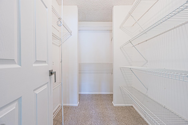 161 Sussex Pl Unit 161, Galloway Township, NJ 08205 - spacious closet with carpet floors