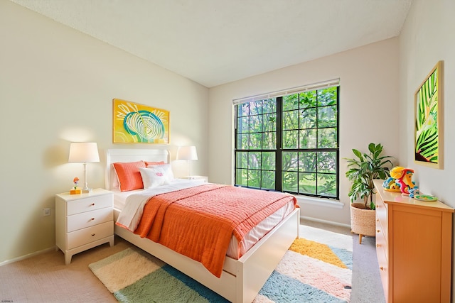 161 Sussex Pl Unit 161, Galloway Township, NJ 08205 - bedroom featuring light colored carpet and baseboards