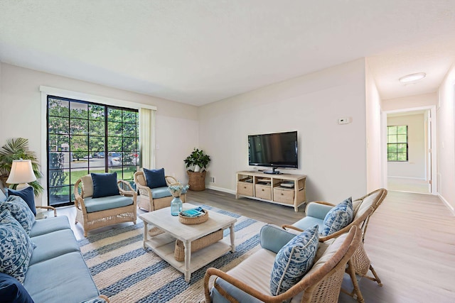 161 Sussex Pl Unit 161, Galloway Township, NJ 08205 - living area featuring wood finished floors, healthy amount of natural light, and baseboards