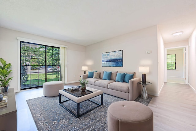 161 Sussex Pl Unit 161, Galloway Township, NJ 08205 - living area featuring baseboards, wood finished floors, and plenty of natural light