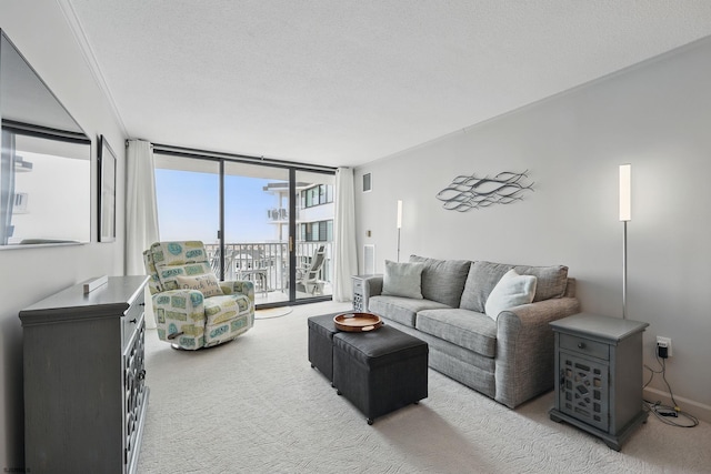 111 S 16th Ave Unit 605, Longport, NJ 08403 - living area with carpet, expansive windows, and a textured ceiling