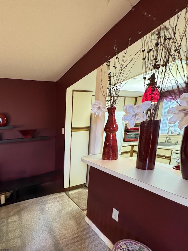 117 N New Jersey Ave Unit 117, Atlantic City, NJ 08401 - kitchen with carpet and a sink