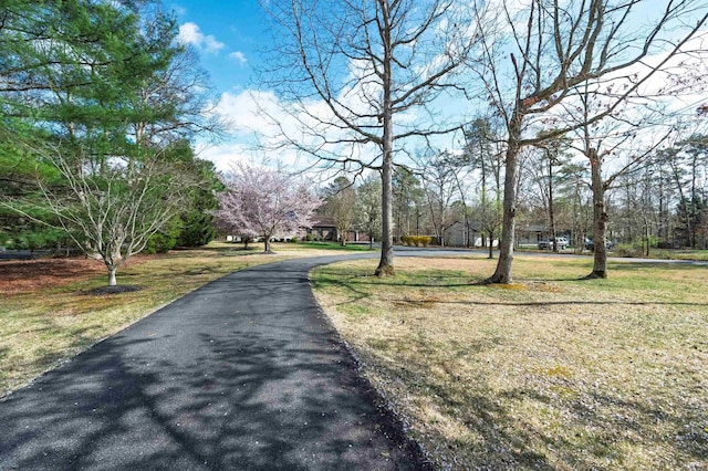 628 1st Ave, Galloway Township, NJ 08205 - view of street