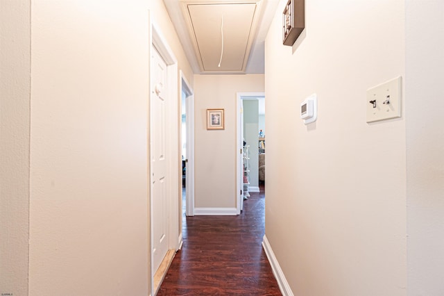 628 1st Ave, Galloway Township, NJ 08205 - hallway featuring attic access and dark wood-style floors