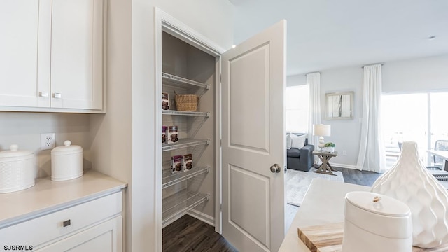 17 N 10th St, Middle Township, NJ 08251 - view of pantry