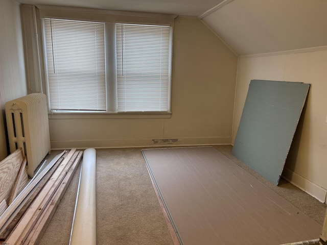 215 N Dorset, Ventnor Heights, NJ 08406 - bonus room with carpet flooring, vaulted ceiling, and radiator