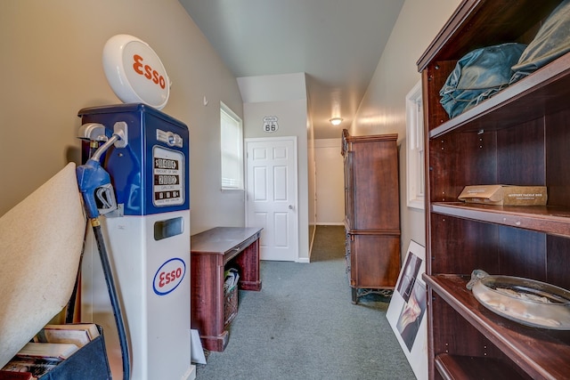 1081 Rte 50, Petersburg, NJ 08270 - hallway with carpet floors
