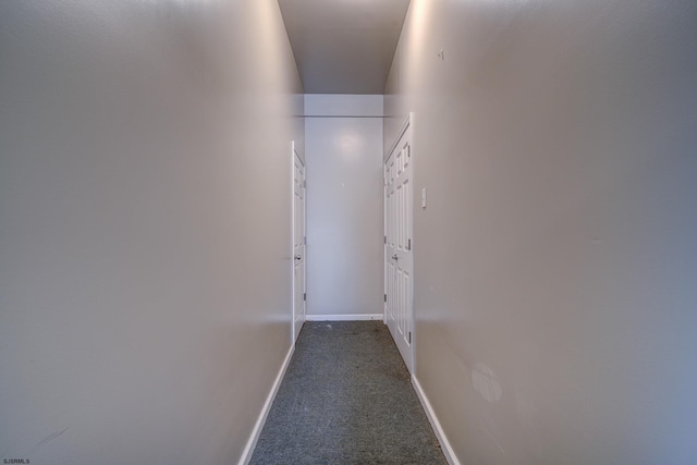 1081 Rte 50, Petersburg, NJ 08270 - hallway featuring carpet flooring and baseboards
