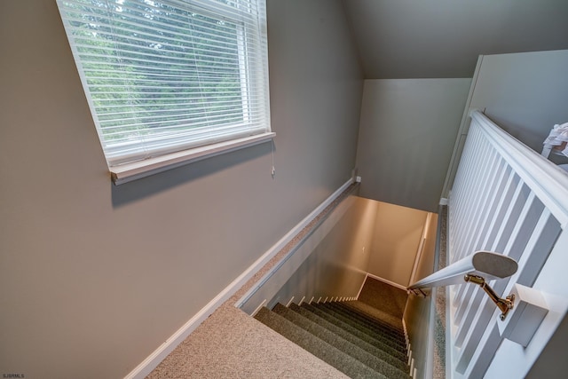 1081 Rte 50, Petersburg, NJ 08270 - stairs with carpet and baseboards