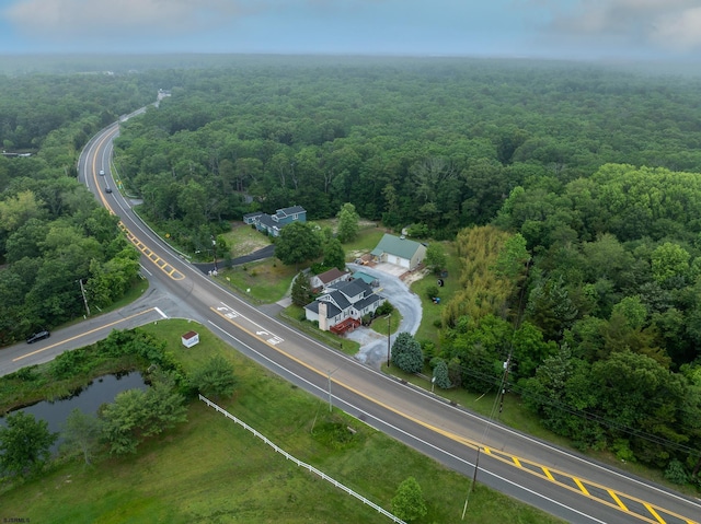 1081 Rte 50, Petersburg, NJ 08270 - view of property location with a heavily wooded area and a main thoroughfare