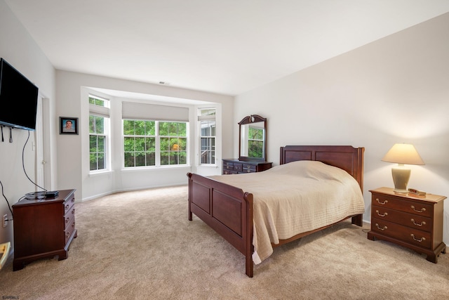 11 Brampton St, Galloway Township, NJ 08205 - bedroom featuring light carpet