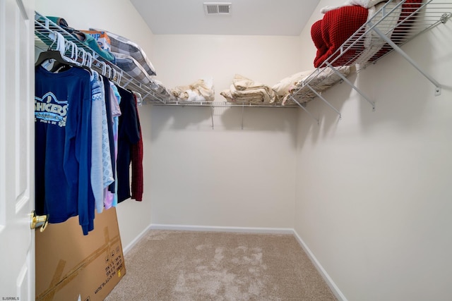 11 Brampton St, Galloway Township, NJ 08205 - spacious closet with carpet floors