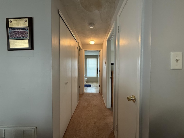 78 Pheasant Meadow Dr Unit 67, Galloway Township, NJ 08205 - corridor with light colored carpet and a textured ceiling