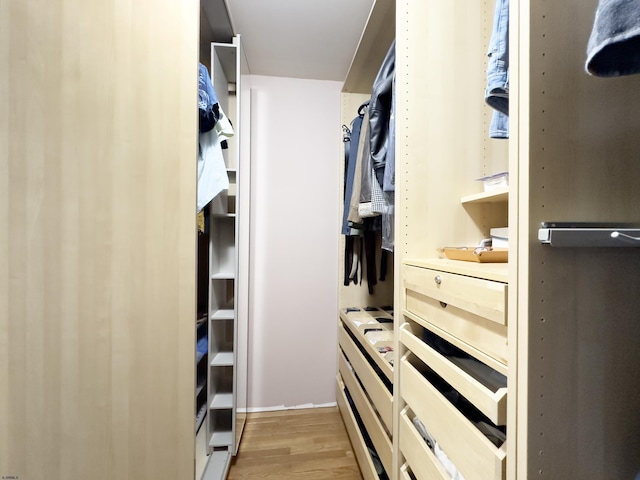 106 Hillside Ave, Absecon, NJ 08201 - walk in closet featuring light wood-style floors