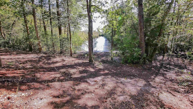 116 Post Rd, Mays Landing, NJ 08330 - view of local wilderness