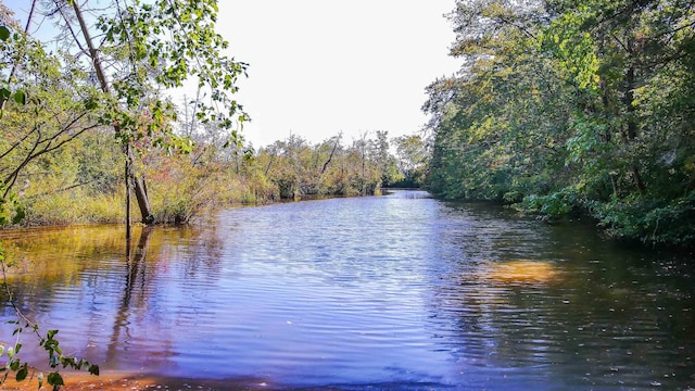 116 Post Rd, Mays Landing, NJ 08330 - water view featuring a heavily wooded area